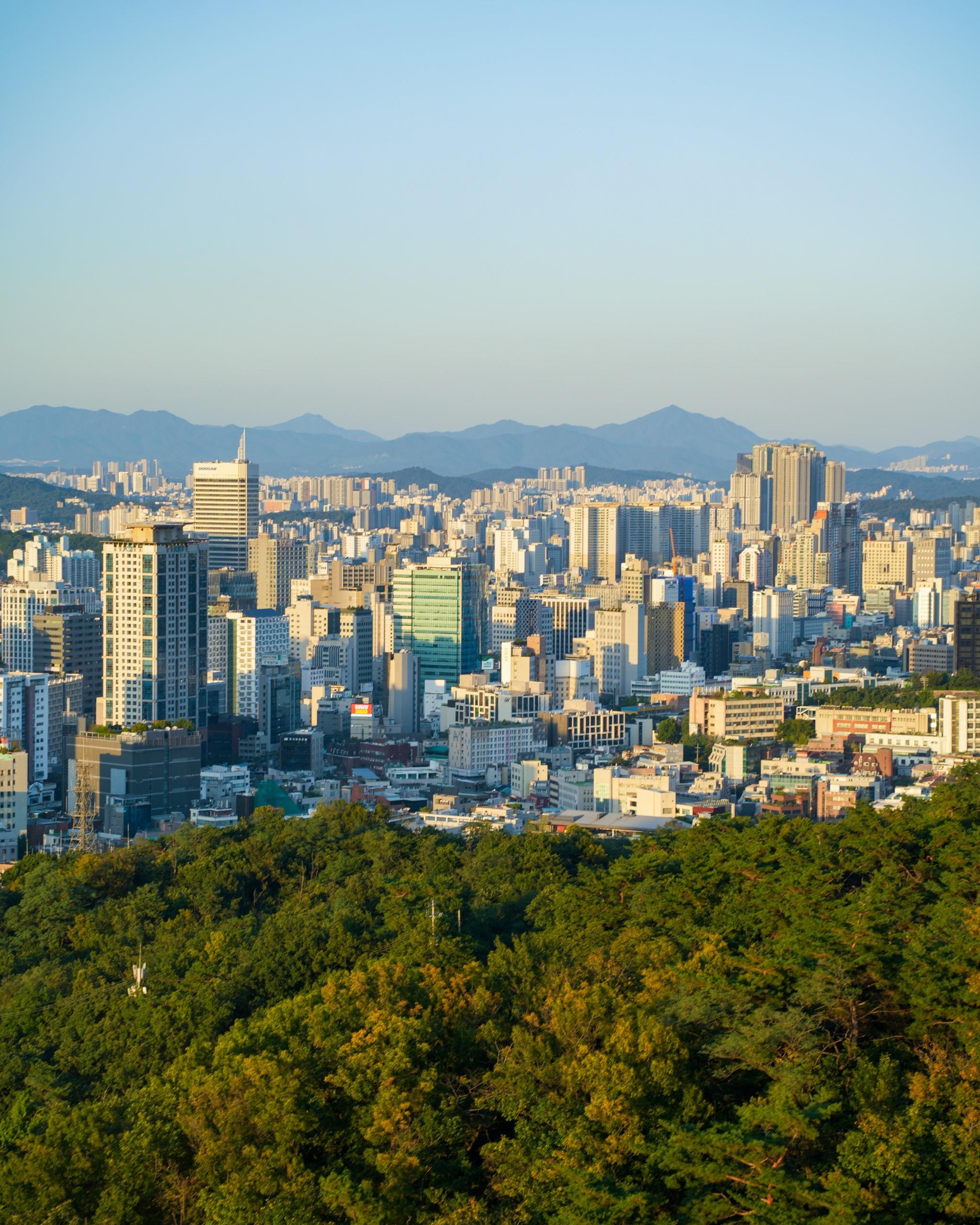 Seoul's skyline and distant mountains seen from the forested slopes of Namsan Mountain