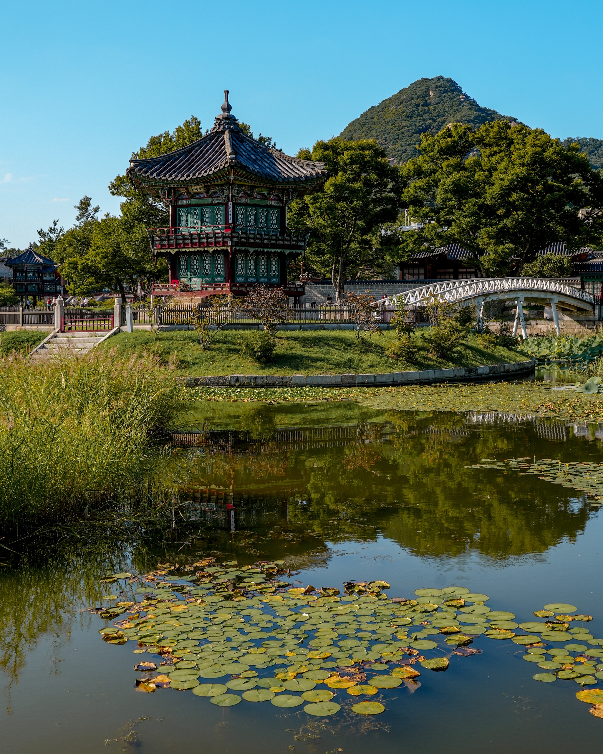 Hyangwonjeong pavilion on its island in a lily pond at Gyeongbokgung, with a mountain behind it