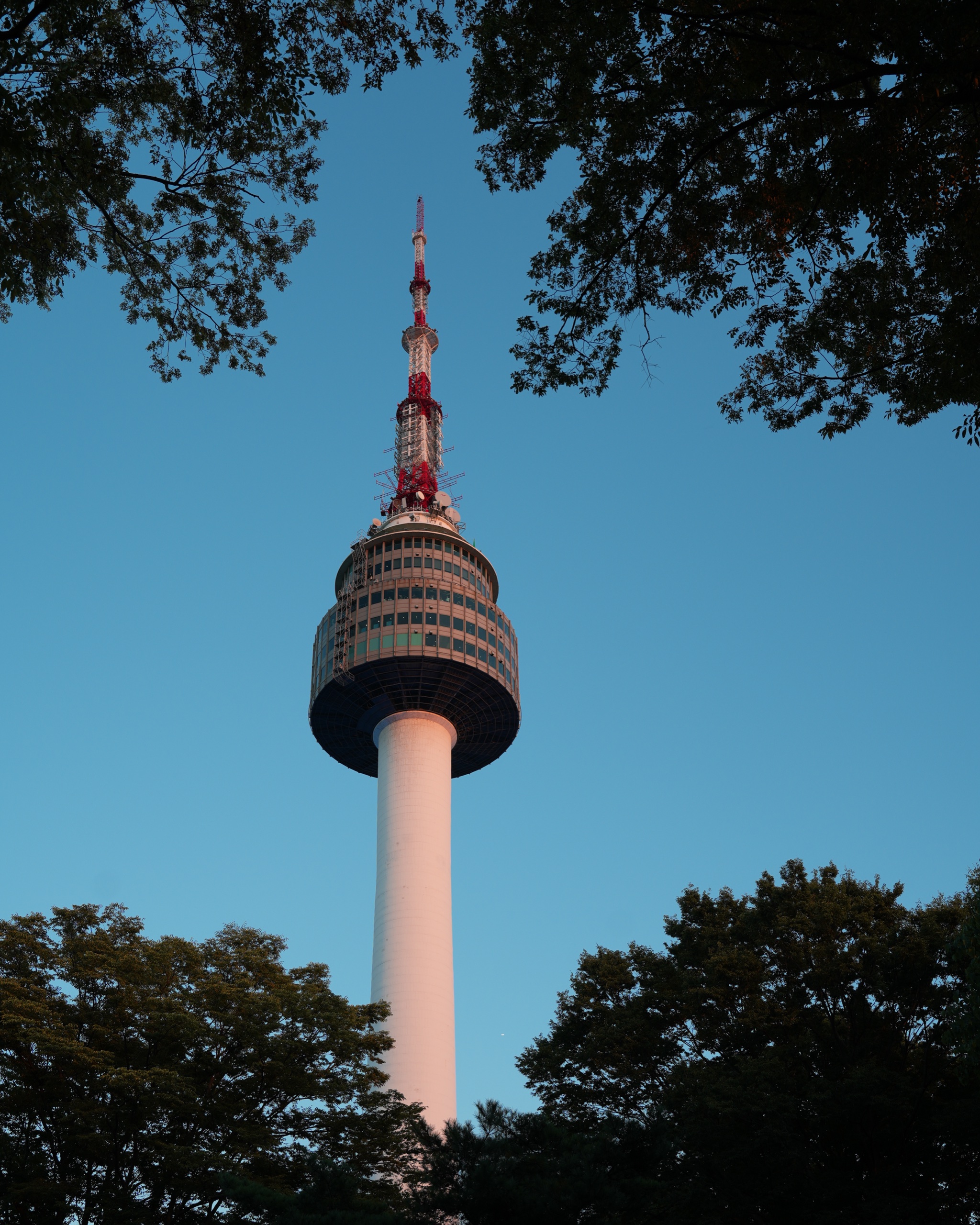 N Seoul Tower framed by trees at golden hour