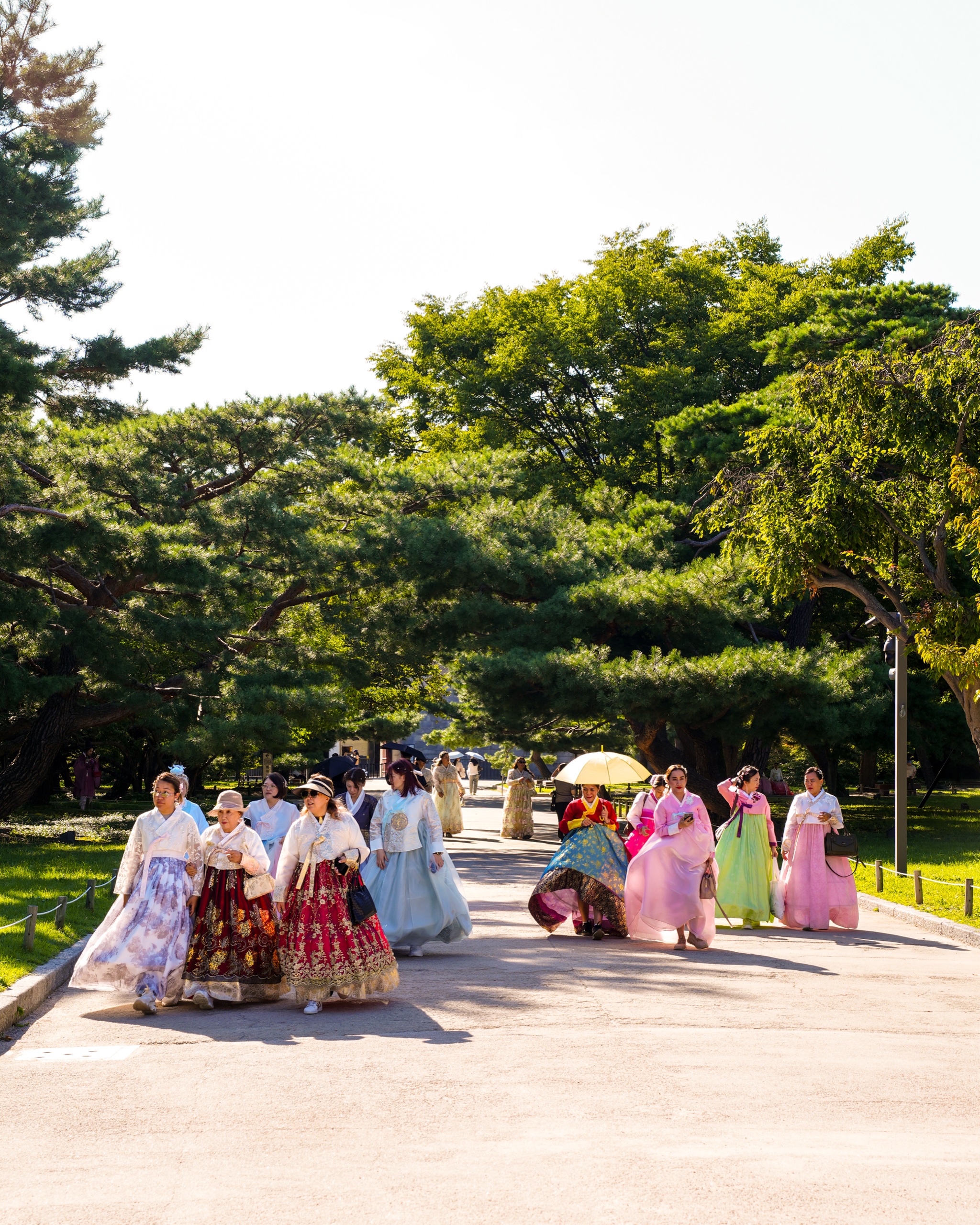 Visitors in colorful hanbok walking along a tree-lined path at Gyeongbokgung Palace