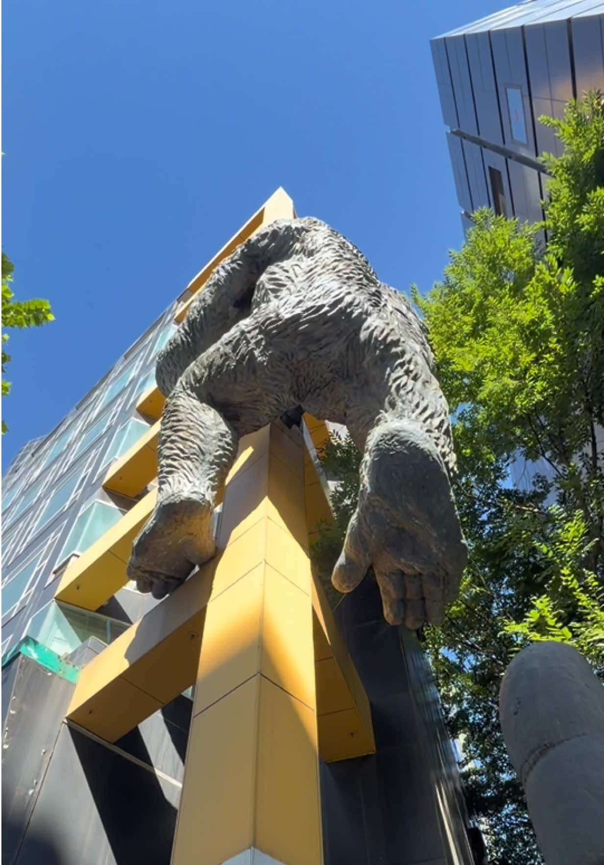 Seoul said 'what if we put a gorilla on a building?' and nobody said no 🦍🏙️