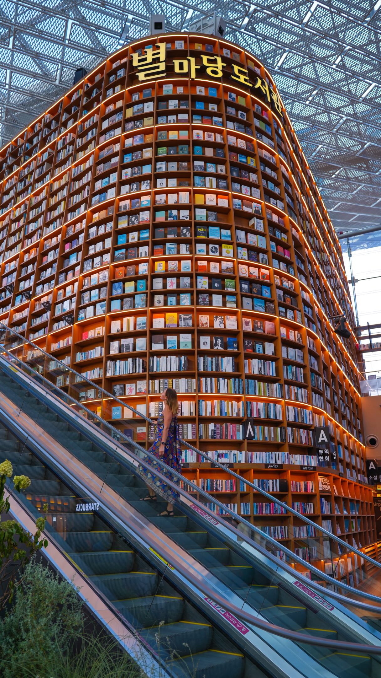 Proof that Seoul does everything bigger 📚