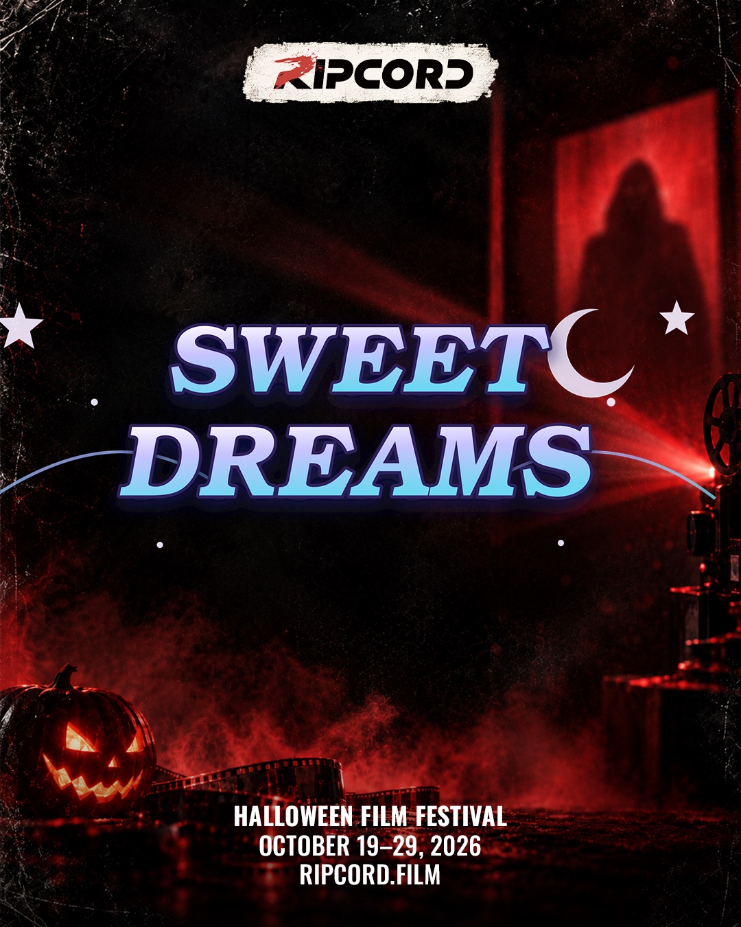 MONDAY SPOTLIGHT: SWEET DREAMS 🌙